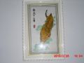 廨ӹ